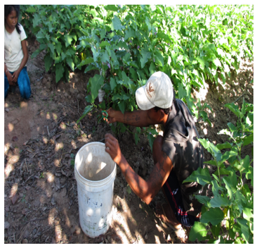 Promoting Community Forestry Management and Community Livelihood Improvement